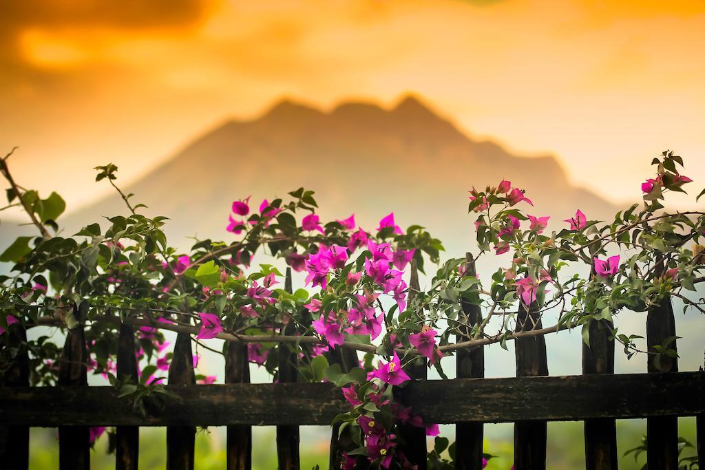 Casa Madre Tierra Hotel Vilcabamba Bagian luar foto
