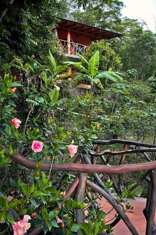 Casa Madre Tierra Hotel Vilcabamba Bagian luar foto